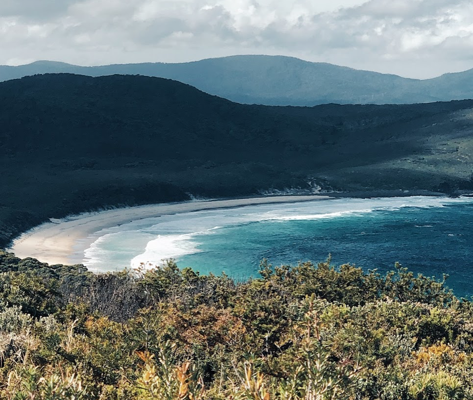 Tasmania Bruny Island Travel Tips